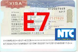 VISA E7-1 HÀN QUỐC LÀ GÌ