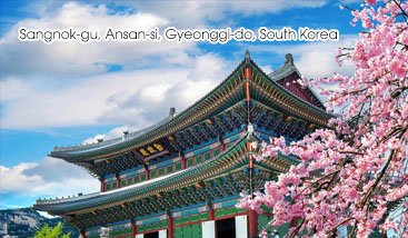 Office In Korea
