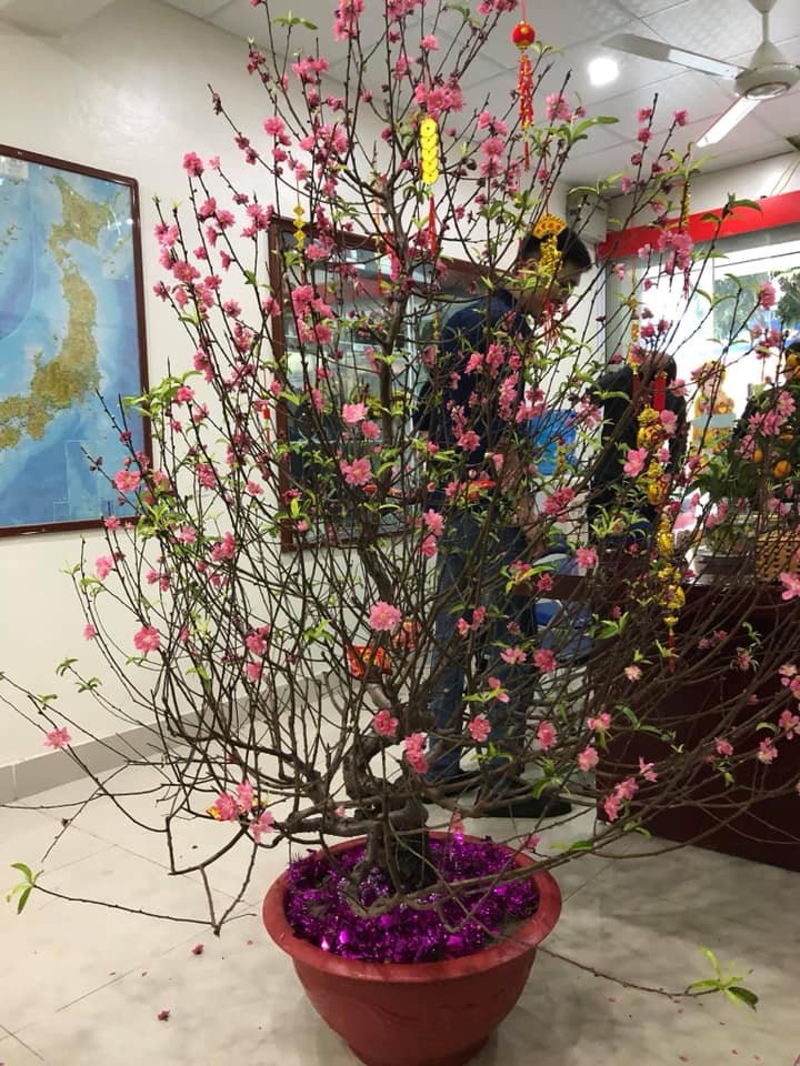 ky su nhat uy tin tai hai duong