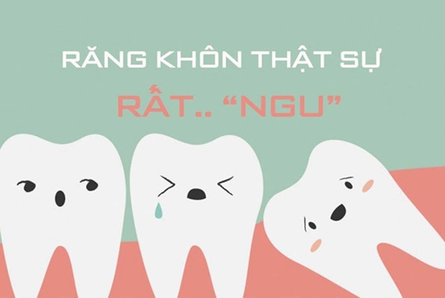 TỪ VỰNG VÀ CÁCH ĐẶT LỊCH KHÁM RĂNG TẠI NHẬT BẢN