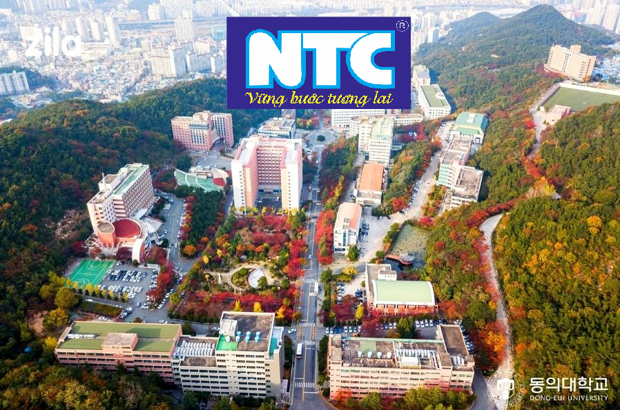 DONG EUI UNIVERSTY