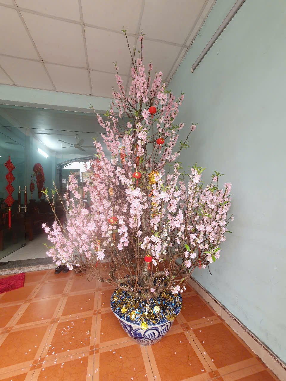 KHAI XUÂN NTC NĂM 2026